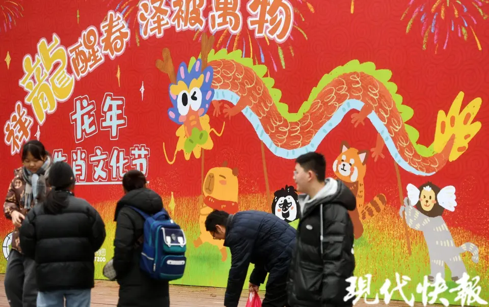 纸牌接龙规则视频_幼儿园接龙牌图片_牌的接龙怎么玩