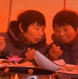 南京流浪狗吧_南京流浪狗收留所_南京流浪狗领养中心