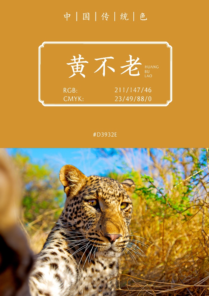 神游科技ique dsi 粉红色_粉色科技感图片_粉红色游戏角色