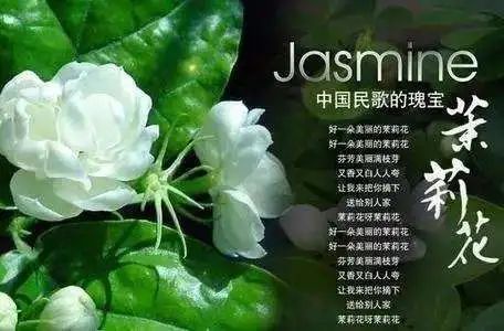 请播放祖玛_黑祖玛歌曲_黑祖玛的歌