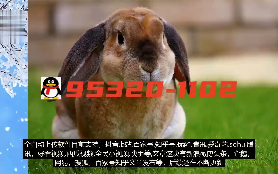 企鹅全民大战飞机下架了吗_全民飞机大战企鹅下架_全民打企鹅
