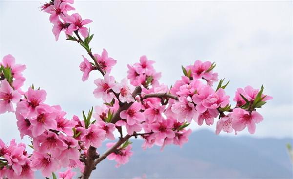 词语形容风字的意思_形容风的二字词语_词语形容风字的成语