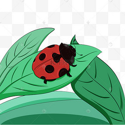 小瓢虫卡通图片_卡通昆虫头像_卡通图片昆虫