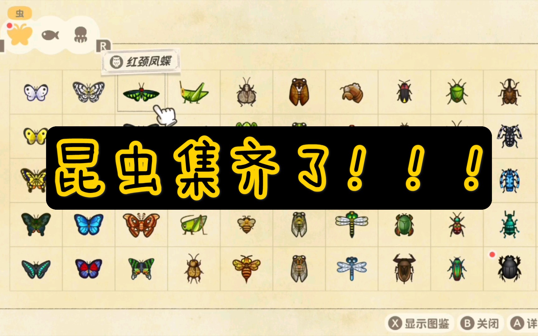 动物之森+3ds_森动物森友会_森动物图