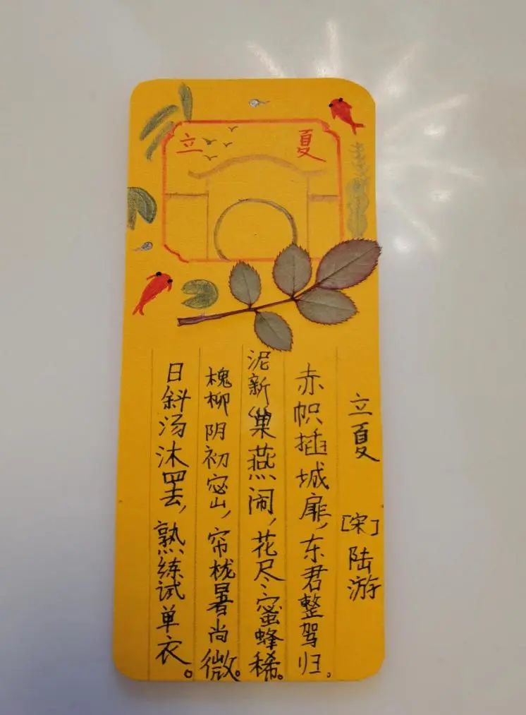 手指滑板：从娱乐到文化，探寻其乐趣与技巧