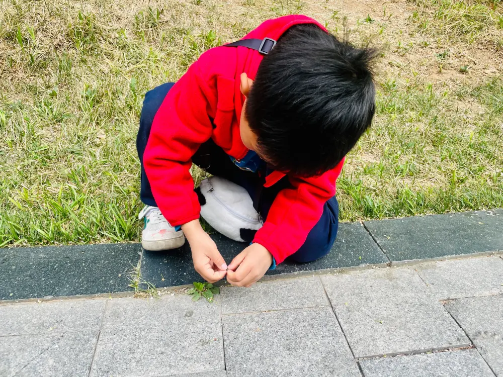 逆转裁判雷顿教授剧情_逆转裁判vs莱顿教授_雷顿教授逆转裁判 dlc
