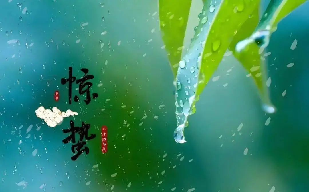 壁纸高清手机壁纸_壁纸图片2023最火爆_locoroco 壁纸