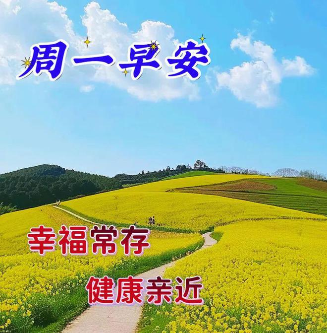 壁纸高清手机壁纸_locoroco 壁纸_壁纸图片2023最火爆