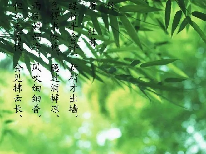 泳装歌曲视频_播放泳装歌曲_视频泳装歌曲大全