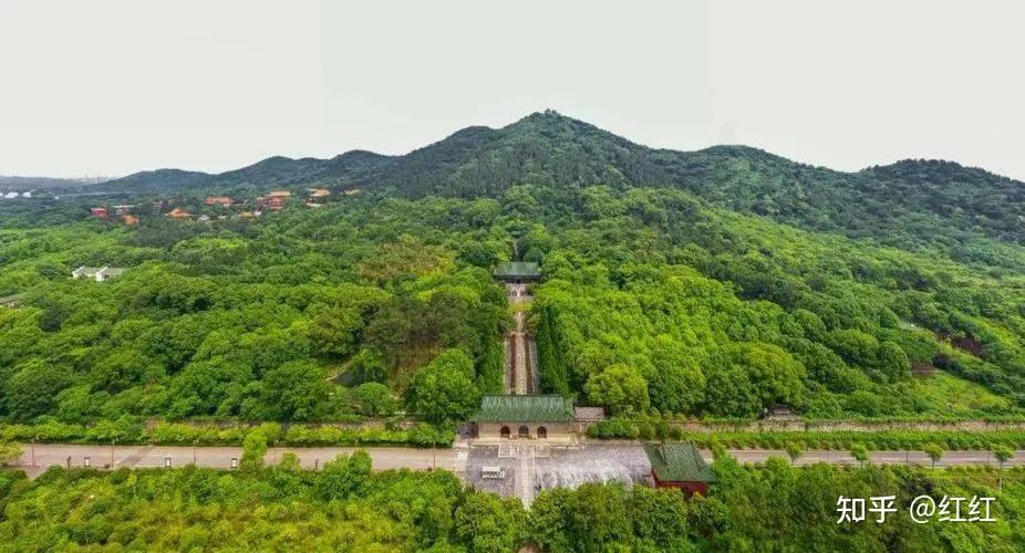 故里归故里_魂归故里分集剧情介绍_魂归故里剧情