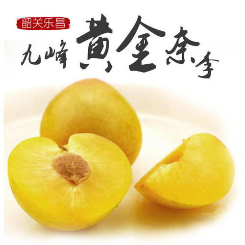 激活码成功后怎么领取_激活码领取礼包_地城之光激活码领取