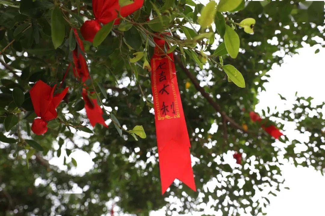 拜神真的有用吗_拜神有没有用_拜神用有烟的好还是无烟的好