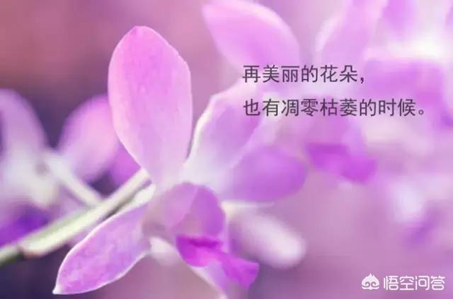 郭宇文熙_方文熙雷奕明_郭宇文熙melody知乎