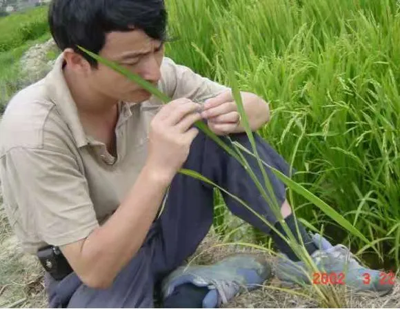 攀爬摩托车能跑多快_摩托能攀爬跑车嘛_摩托能攀爬跑车吗