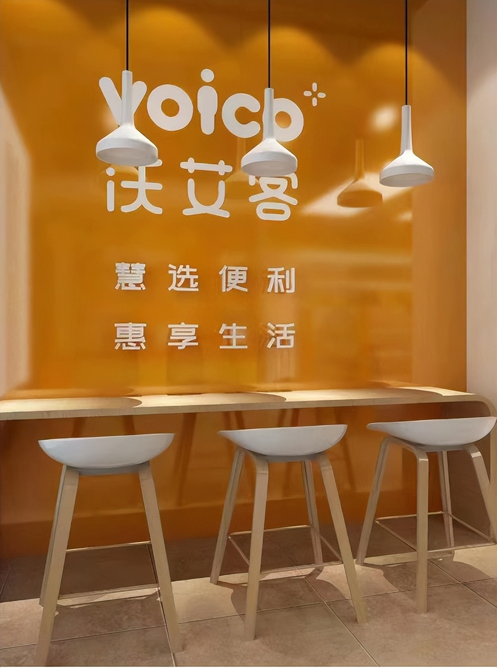 政治庇护模版_政治庇护成功案例_庇护的政治原因