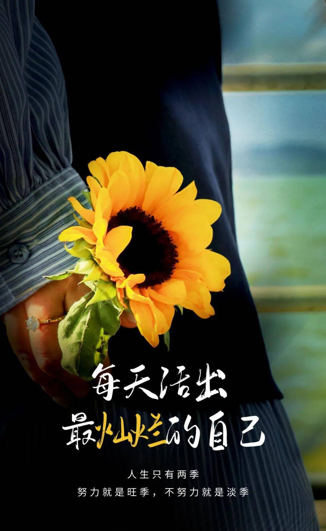 冠军车多少钱_小汽车的冠军梦关卡全开版_小汽车的冠军梦选关版