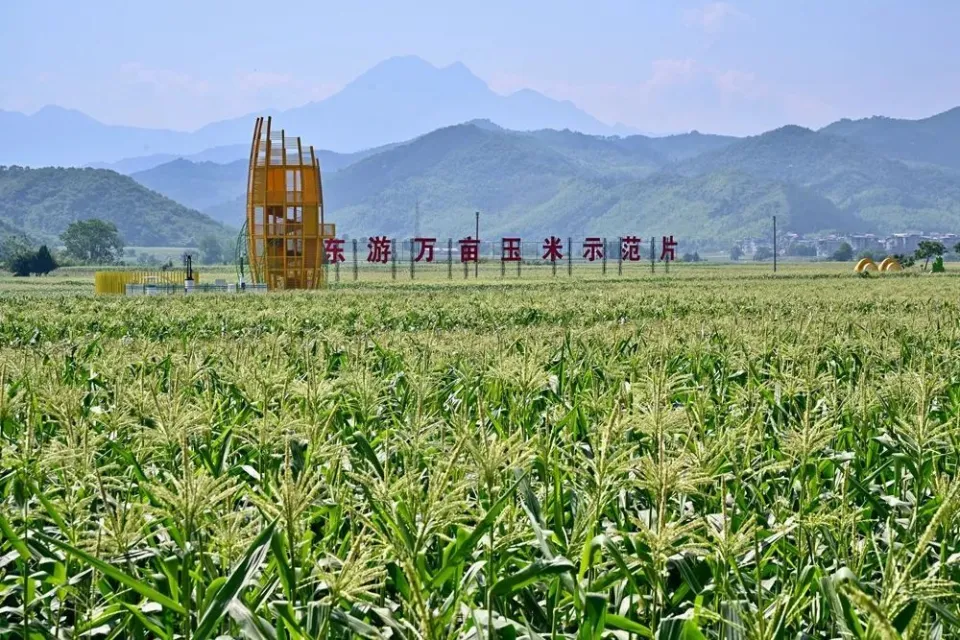 爱吾破解游戏宝盒官网_老司机破解器_老司机宝盒最新破解
