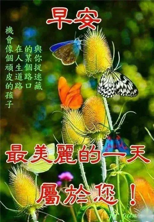 搜寻守卫塔_搜查守卫塔任务怎么做_搜查守卫塔