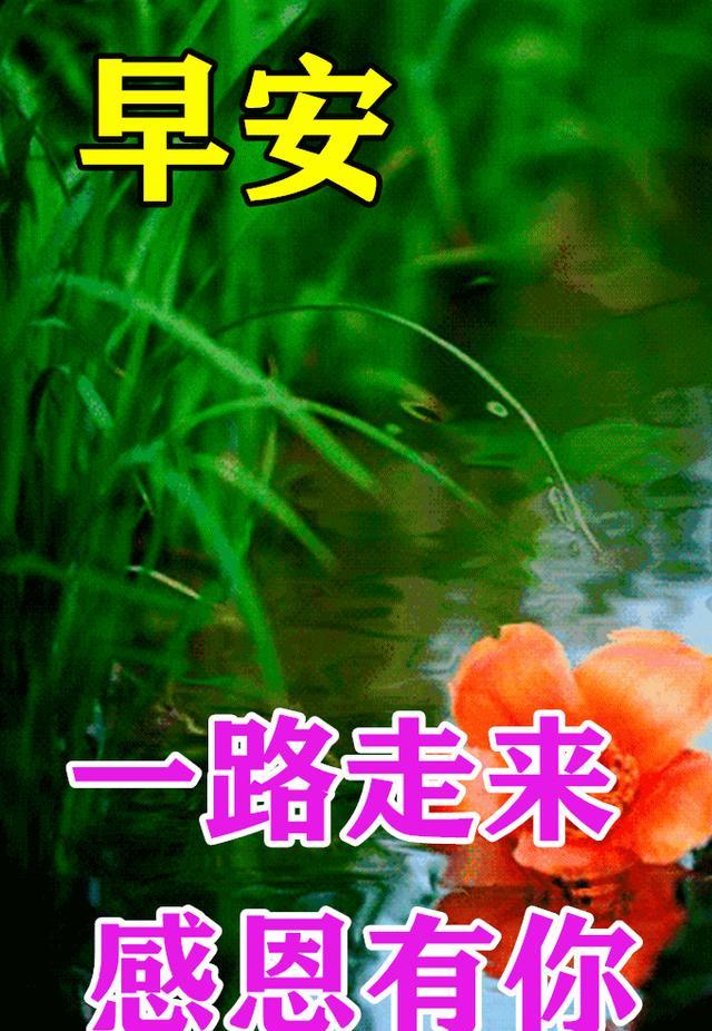 搜查守卫塔_搜寻守卫塔_搜查守卫塔任务怎么做