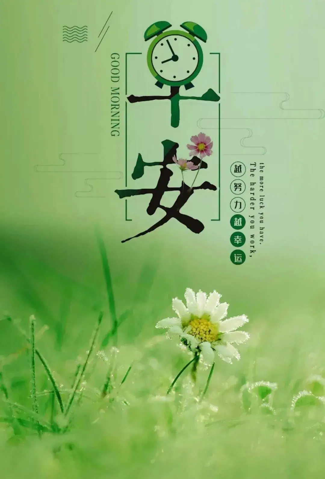 刘佳宇微博_刘佳微博工作室_刘佳宇是谁啊