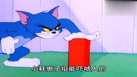 猫和老鼠鸡蛋大战_老鼠大战鸡蛋猫咪视频_老鼠大战鸡蛋猫的故事