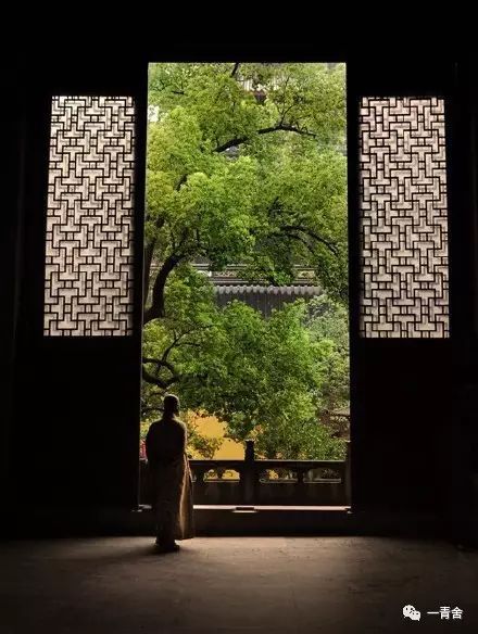 僵尸小孩被吃_僵尸吃小孩子_僵尸吃小孩
