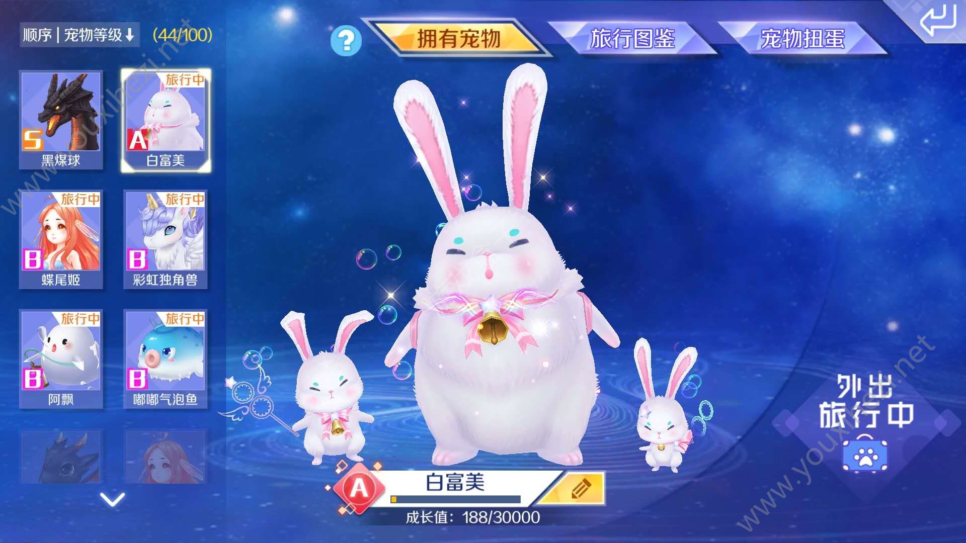 炫舞宠物天赋月兔_天赋炫舞宠物月兔怎么得_天赋炫舞宠物月兔怎么获得