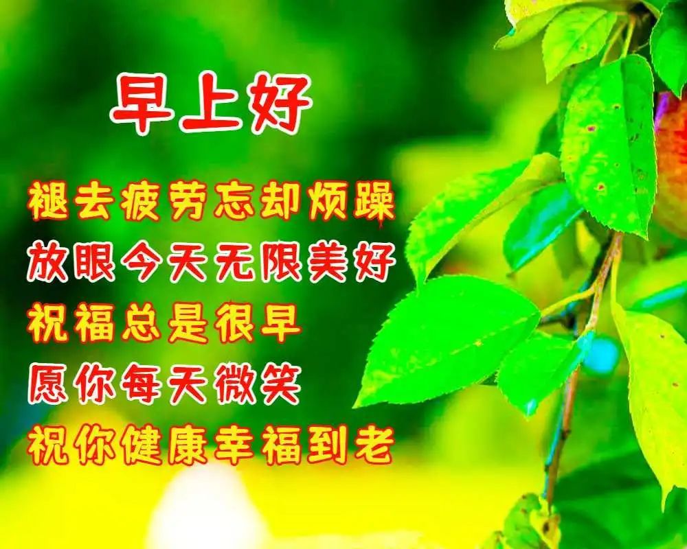 问候远方的朋友安好_远方问候安好朋友的话_远方问候安好朋友图片
