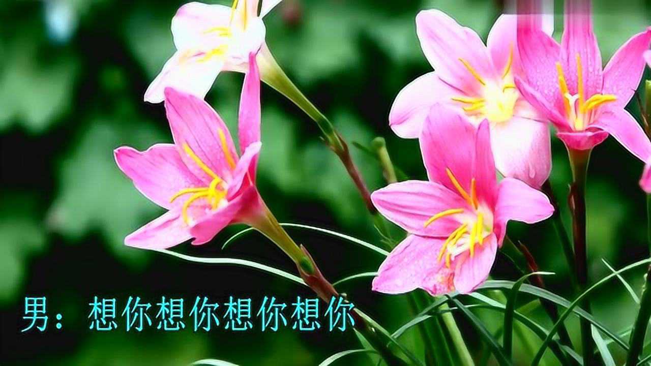 杨钰莹毛宁再聚首_毛宁杨钰莹北京演唱会_杨钰莹演唱会毛宁助唱