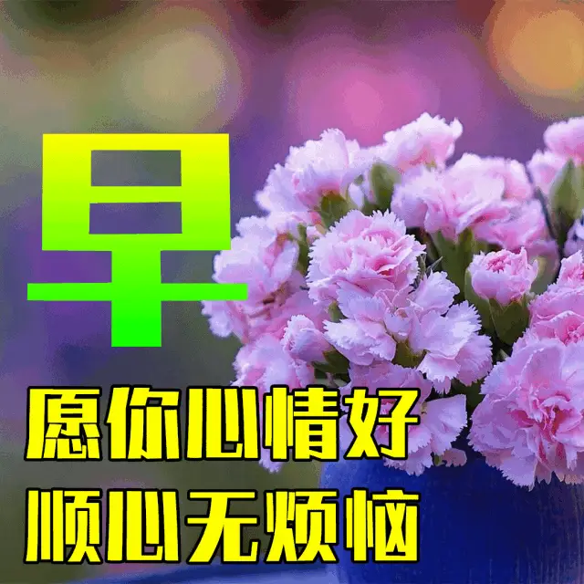 恋香缘攻略3号_恋香缘攻略3号_恋香缘攻略3号