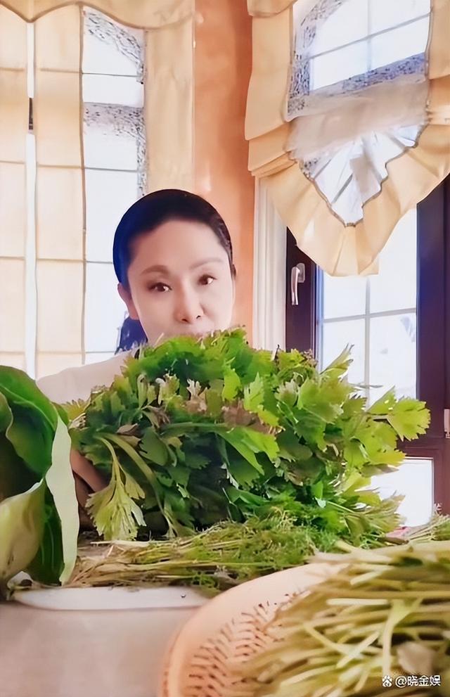 东方曼哈顿 居委会_东方曼哈顿是什么街道_东方曼哈顿小区介绍