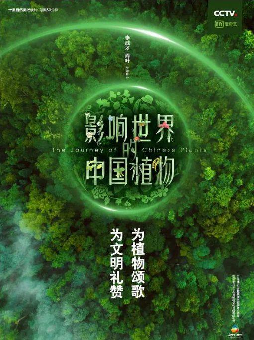 qq飞车官网背景_新蓬莱官网背景音乐_eclipse背景插件官网
