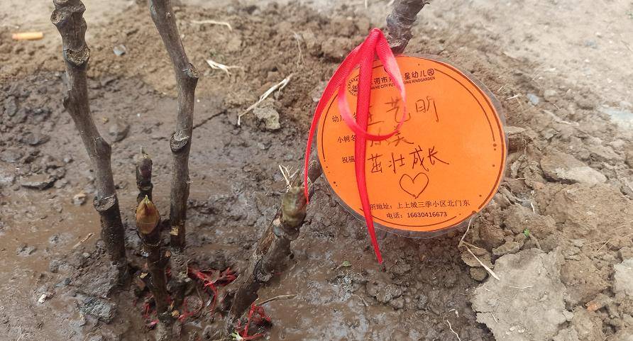 双箭头2_双箭头种子_向上的箭头怎么打