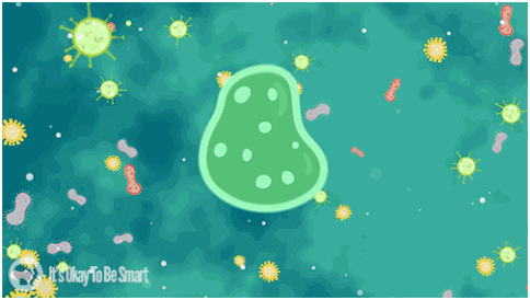 发烧孩子图片大全_小孩发烧烧出疹子图片_小孩发烧出疹子图片