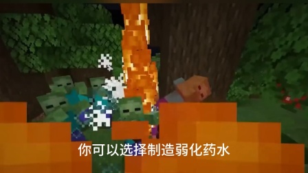 中文版世界地图_我的世界1.4.2中文版_中文版世界计划