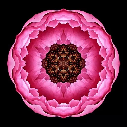 能量花装扮如何获得_能量花怎么获得_能量花进阶