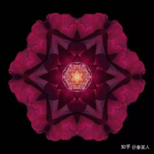 能量花怎么获得_能量花进阶_能量花装扮如何获得