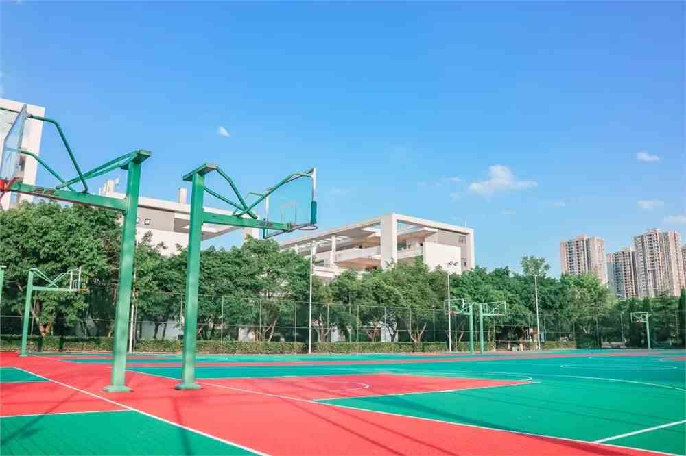 东莞篮球学校招生标准_东莞篮球学校招生简章_东莞篮球学校2021招生