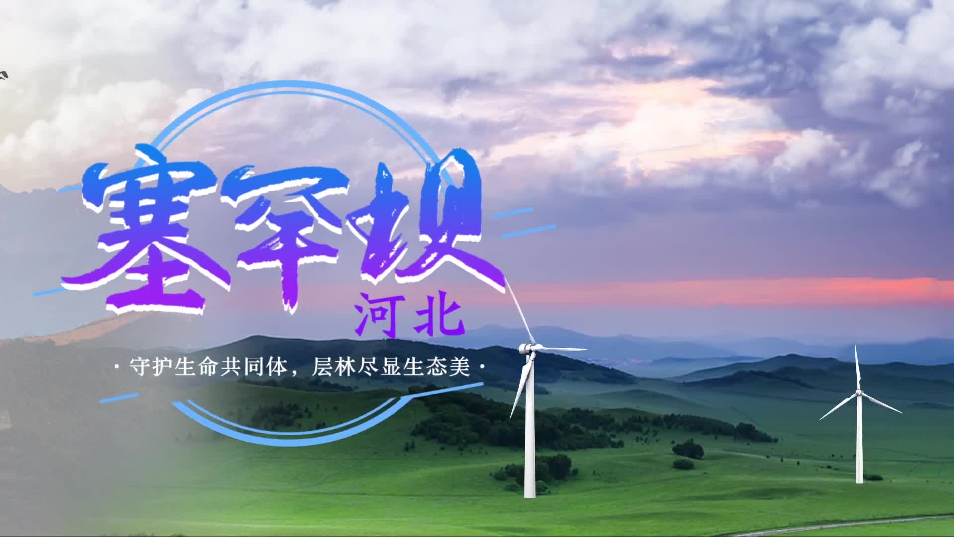 兵工七子哪个学校最差_兵工子弟_兵工子弟什么意思