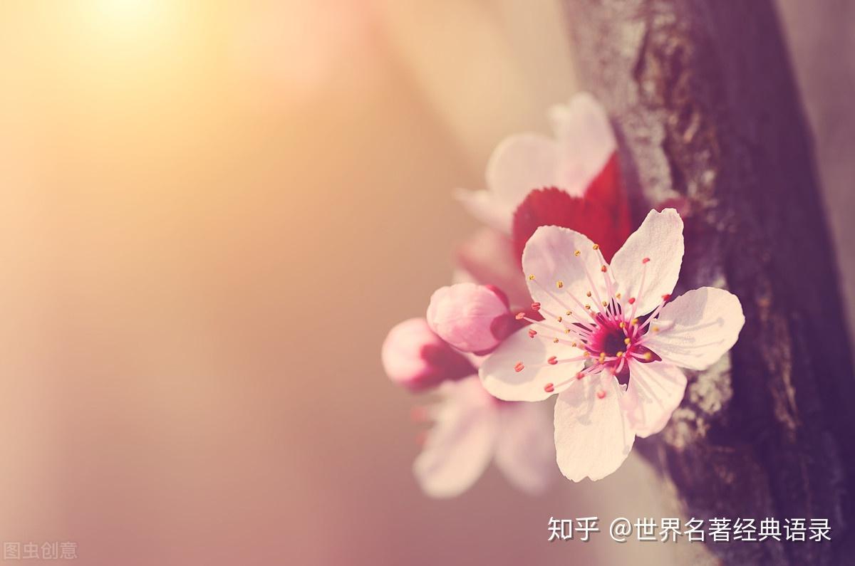 孤岛生存游戏解说_孤岛生存游戏_孤岛生存游戏大全