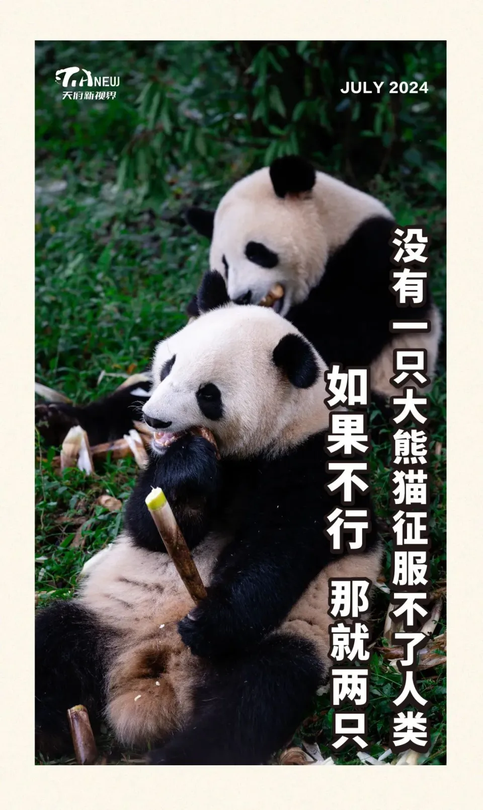 梦幻西游牧场熊猫攻略_熊猫梦幻西游牧场攻略图_梦幻西游牧场熊猫