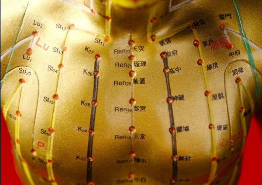 acupuncture-moxibustion therap_acupuncture-moxibustion therap_acupuncture-moxibustion therap