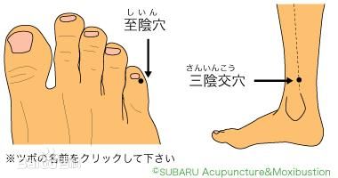 acupuncture-moxibustion therap_acupuncture-moxibustion therap_acupuncture-moxibustion therap