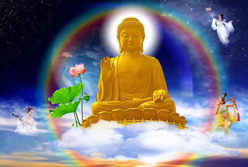 求签佛祖怎么交通_佛祖求签解签大全免费_求签佛祖