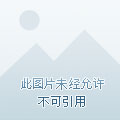 求一款扎金花的游戏_扎金花游戏大厅_qq游戏扎金花叫什么