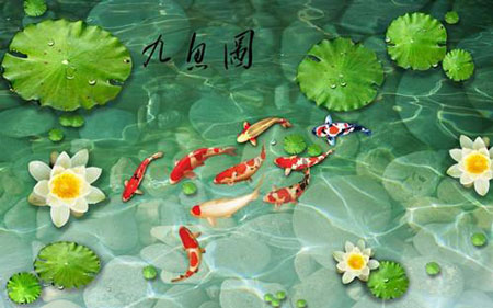 梦幻西游珠联璧合_梦幻西游连珠泡泡_梦幻西游珠子