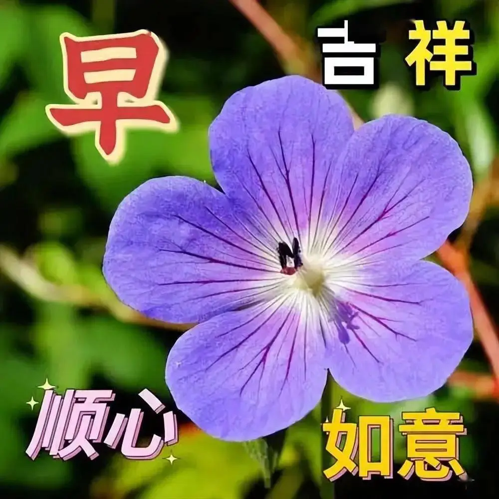 水管工传说攻略_水管工_水管工传说免费下载