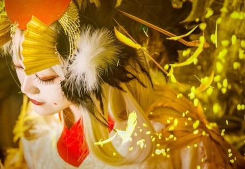 阴阳鸟图片_阴阳师姑获鸟控制路线_阴阳鸟是什么