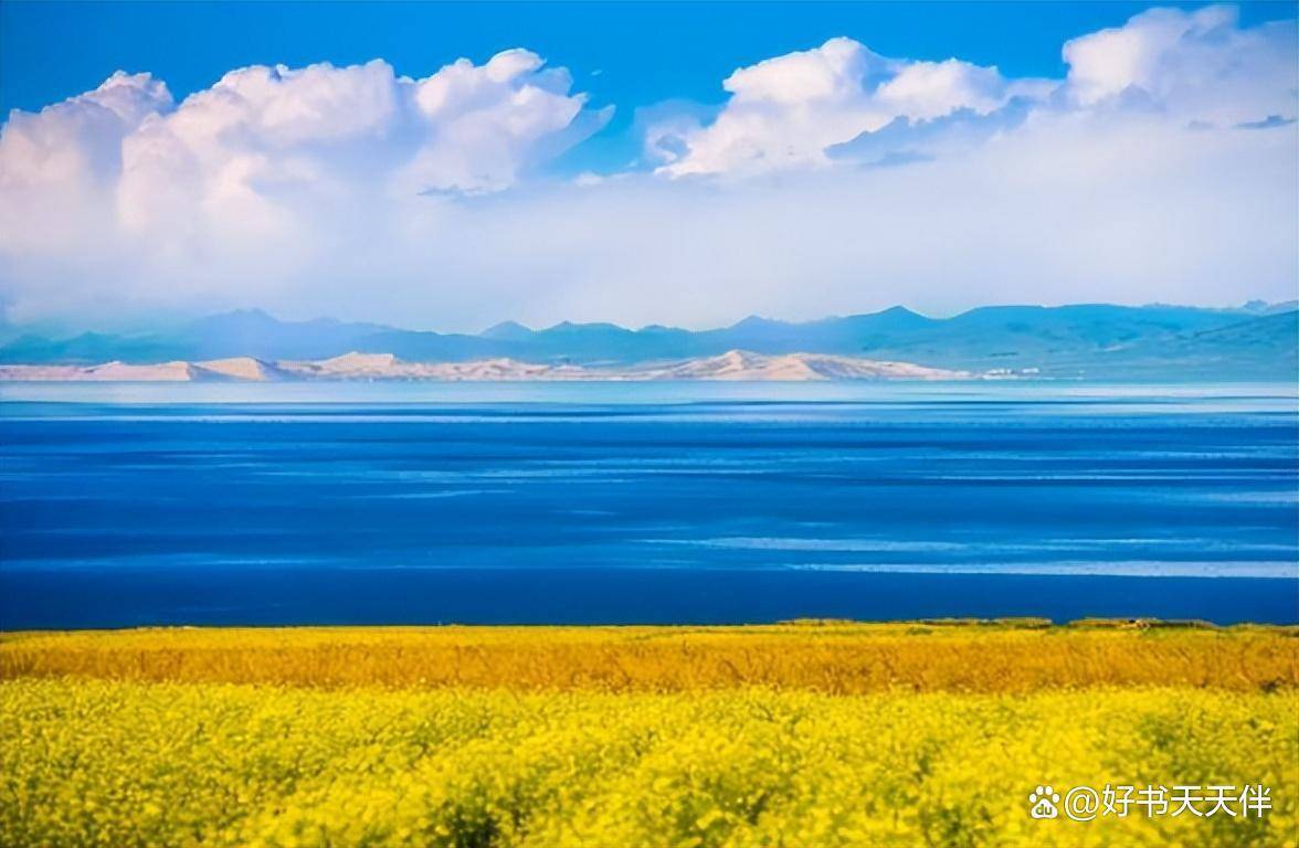 饿死的流浪狗_饿死狗流浪小说全文_被饿死的小流浪狗