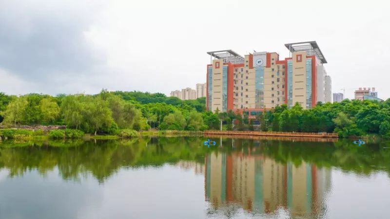泰州好的古筝学习班_泰州学古筝哪里好_泰州古筝培训班